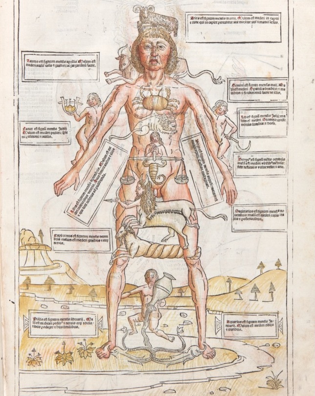 Terry Dagradi/Medical Historical Library